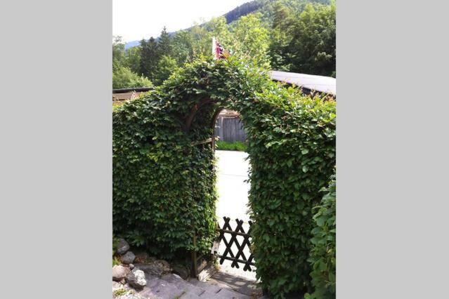 Haus Tulpe Strobl Exterior photo